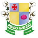 Logo Pedro Avelino